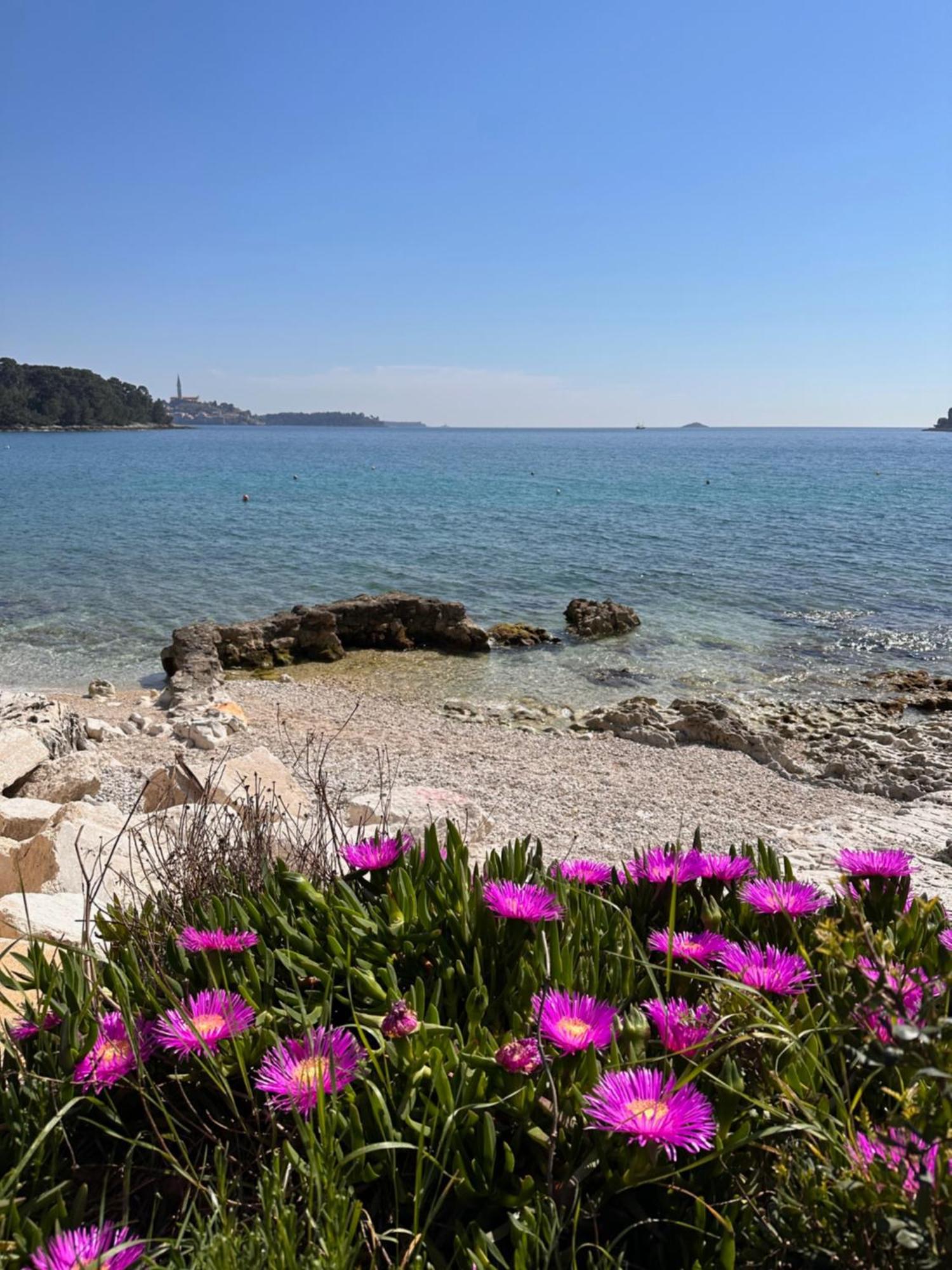 Villa Anthony Rovinj Extérieur photo