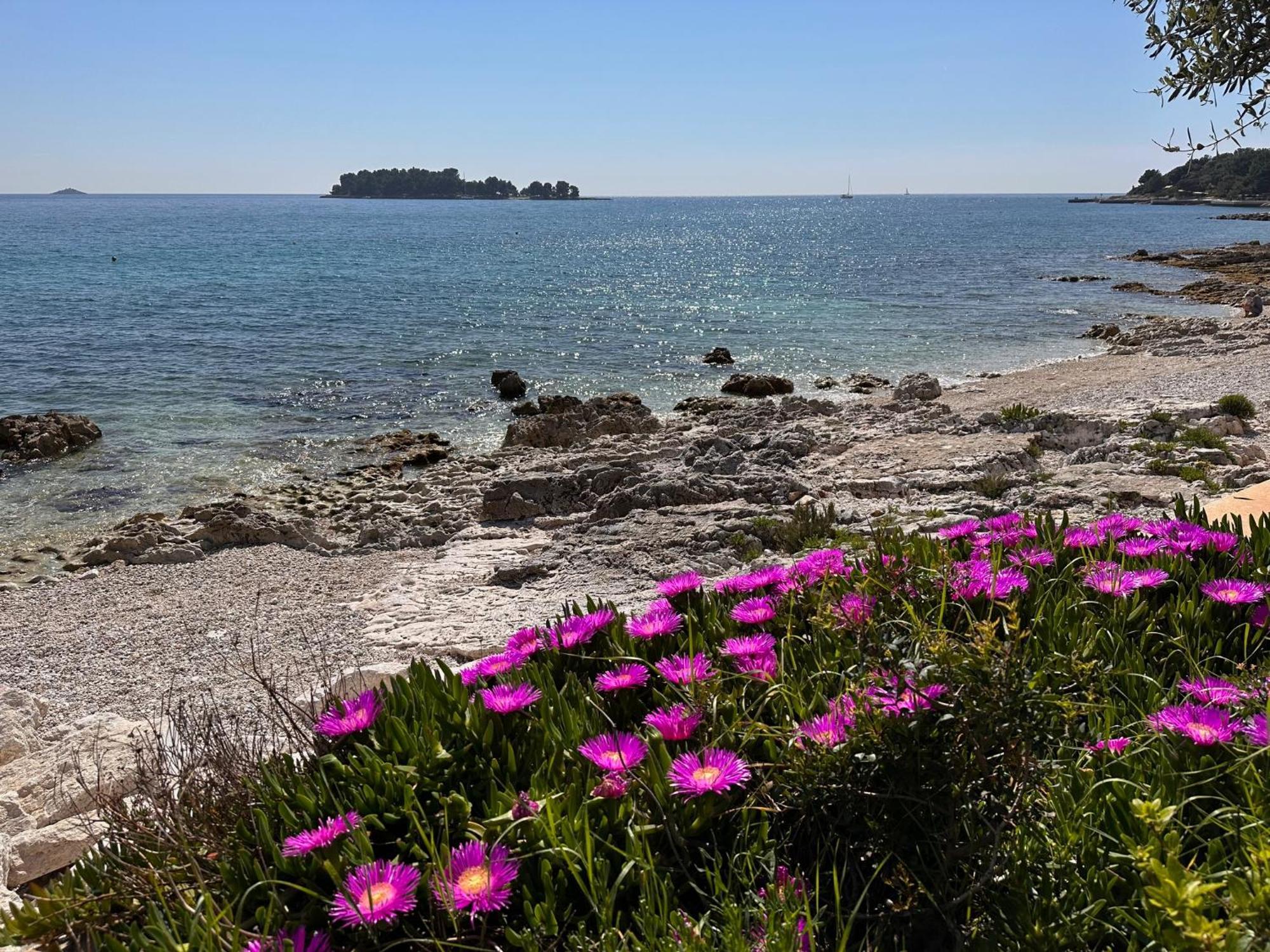 Villa Anthony Rovinj Extérieur photo