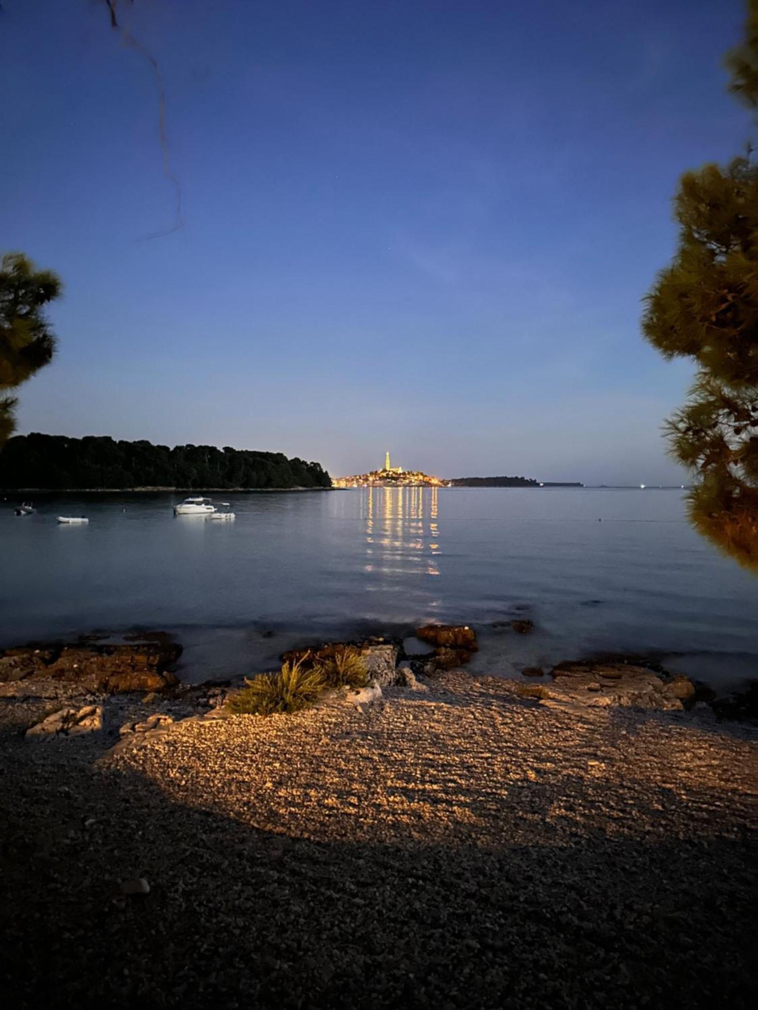 Villa Anthony Rovinj Extérieur photo